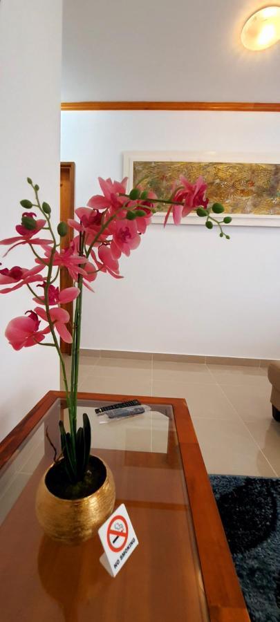 ماهي Le Chant De Merle Self -Catering Studios And Apartments المظهر الخارجي الصورة