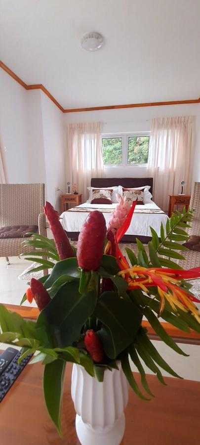 ماهي Le Chant De Merle Self -Catering Studios And Apartments المظهر الخارجي الصورة