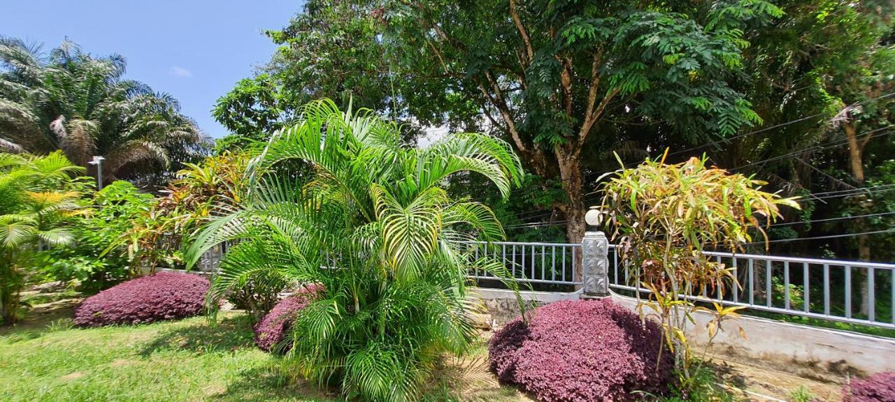 ماهي Le Chant De Merle Self -Catering Studios And Apartments المظهر الخارجي الصورة