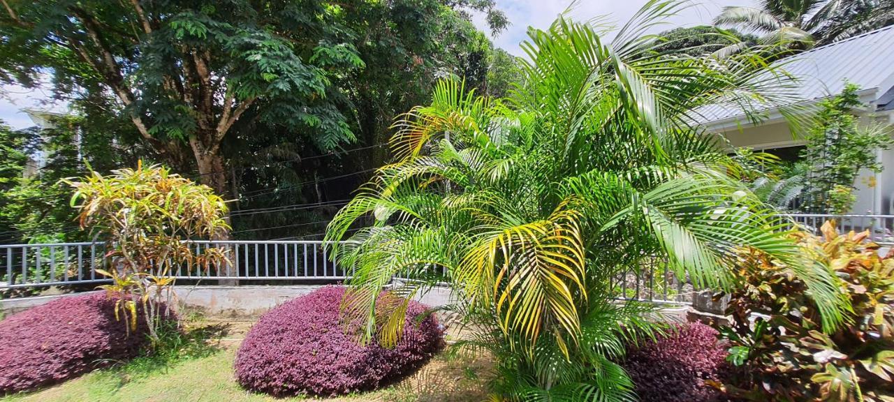 ماهي Le Chant De Merle Self -Catering Studios And Apartments المظهر الخارجي الصورة